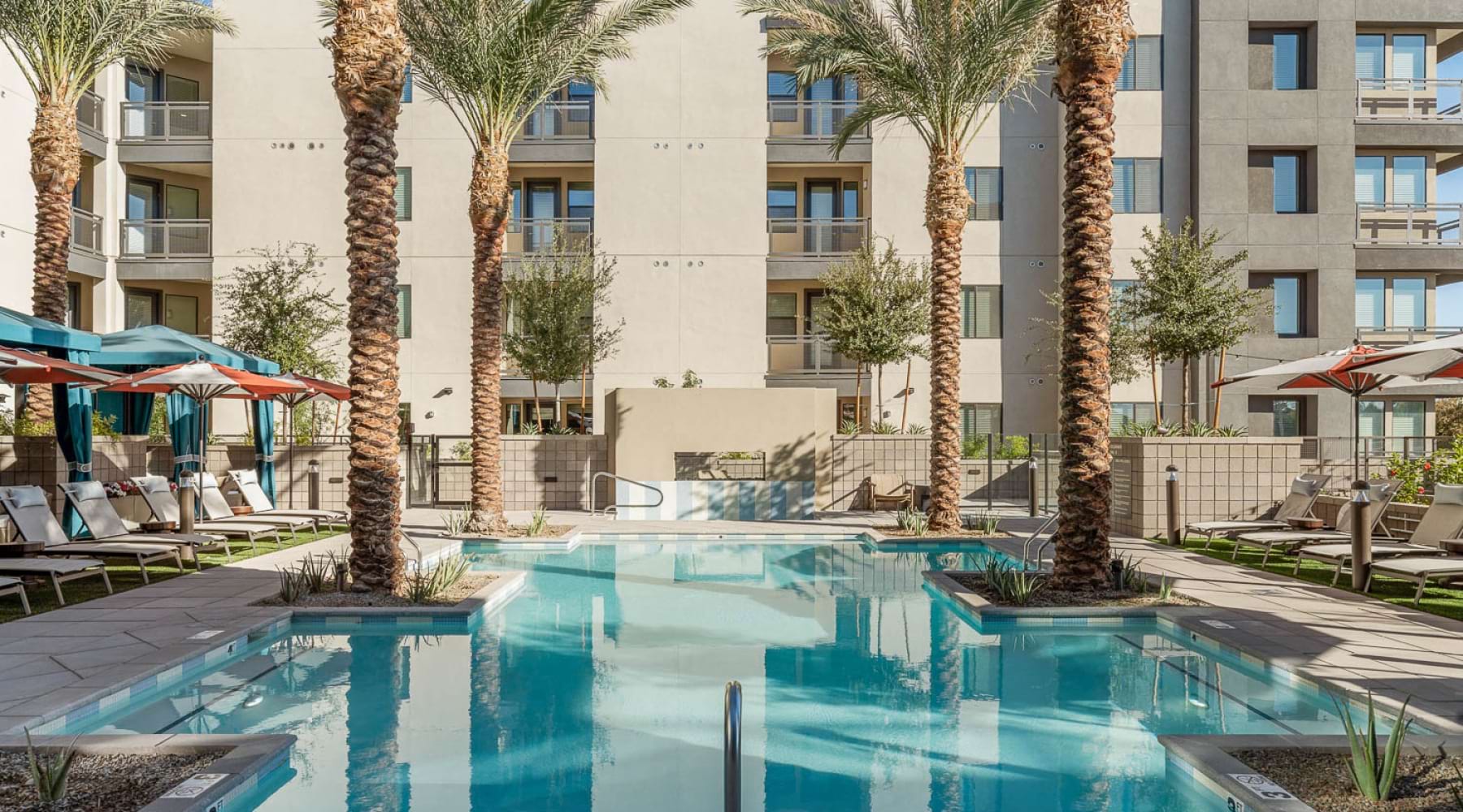 a courtyard with a pool and palm trees