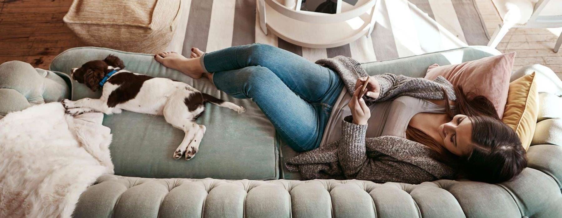 overhead view of  a woman texting as she lies on a couch with a dog at her feet